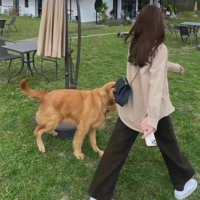 红线